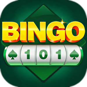 BINGO 101